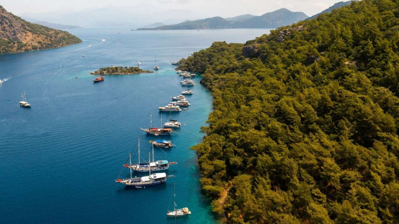 Turizm Cenneti Bodrum'da 126,5 Milyon TL Değerinde Zeytinli Tarla Mahkemeden Satışa Çıkarıldı 2